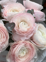 Букет з 9 ранункулюсами і евкаліптом - Image 3