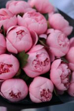 Букет з 15 півоній Етчед Салмон - Зображення 3