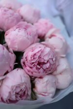 Букет з 15 півоніями Сара Бернард - Зображення 3