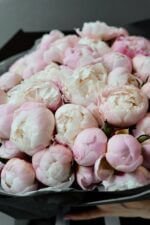 Великий букет з 51 півоній Гарденій - Зображення 3