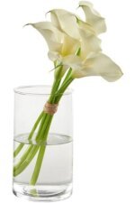 Ваза прозора скло - Зображення 2