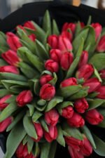 Букет з 51 червоного тюльпану - Image 6