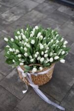 Кошик  зі 101 білого  тюльпану - Image 4