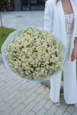 Букет з ромашок танацетум - Зображення 6