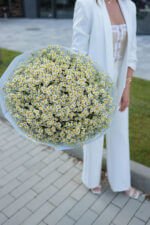 Букет з ромашок танацетум