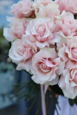 Монобукет з 21 троянд сорту Пінк Мондіаль - Image 5