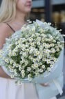 Монобукет із ромашок танацетума - Зображення 2