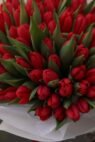 75 червоних тюльпанів - Зображення 2