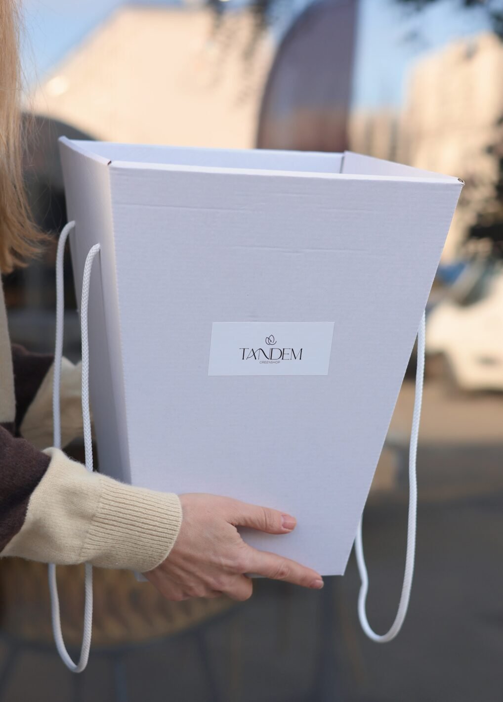 коробка-переноска