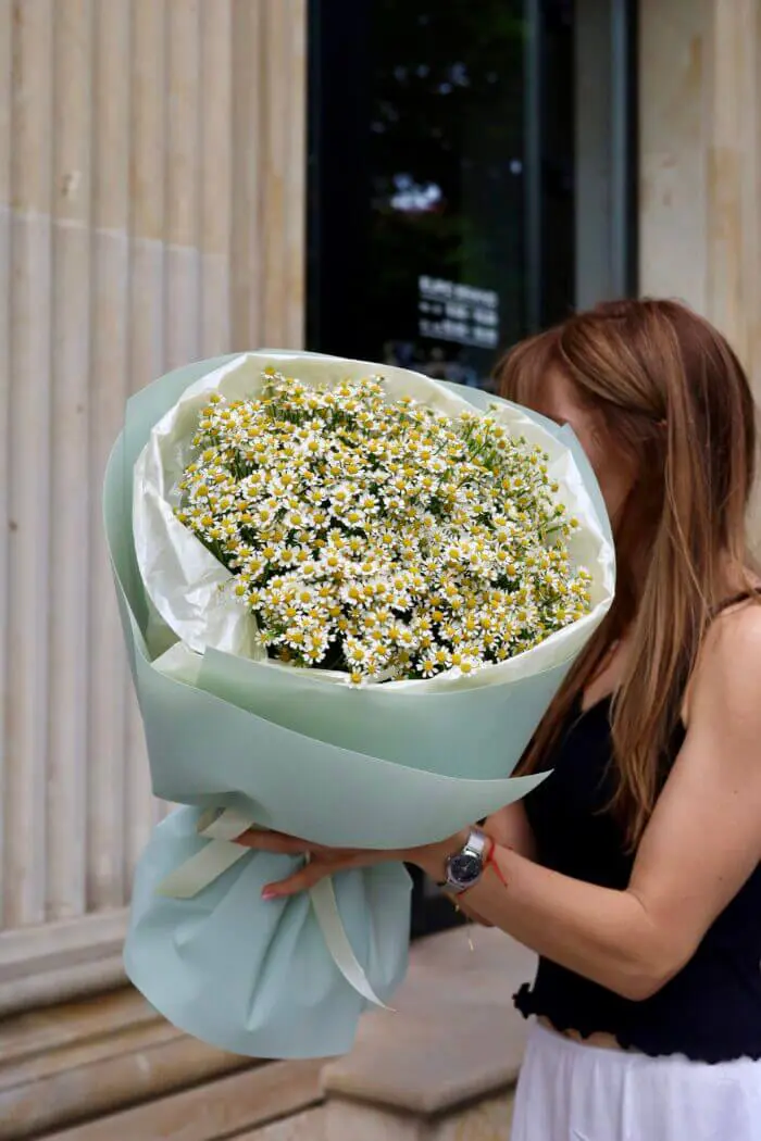 Monobouquet of tanacetum daisies 1 Tandem GREEN SHOP