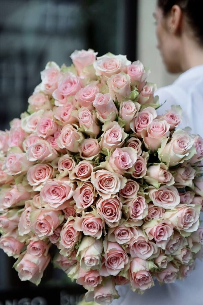 Rose Pink Athena 1 Tandem GREEN SHOP