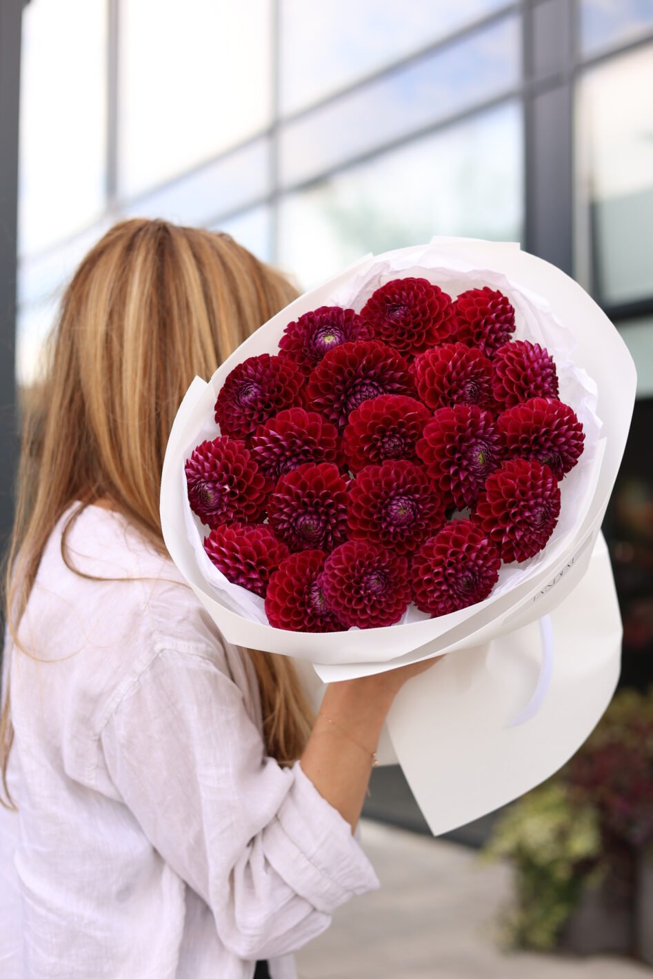 D48A6486 Монобукет із бордових жоржин - Зображення 1