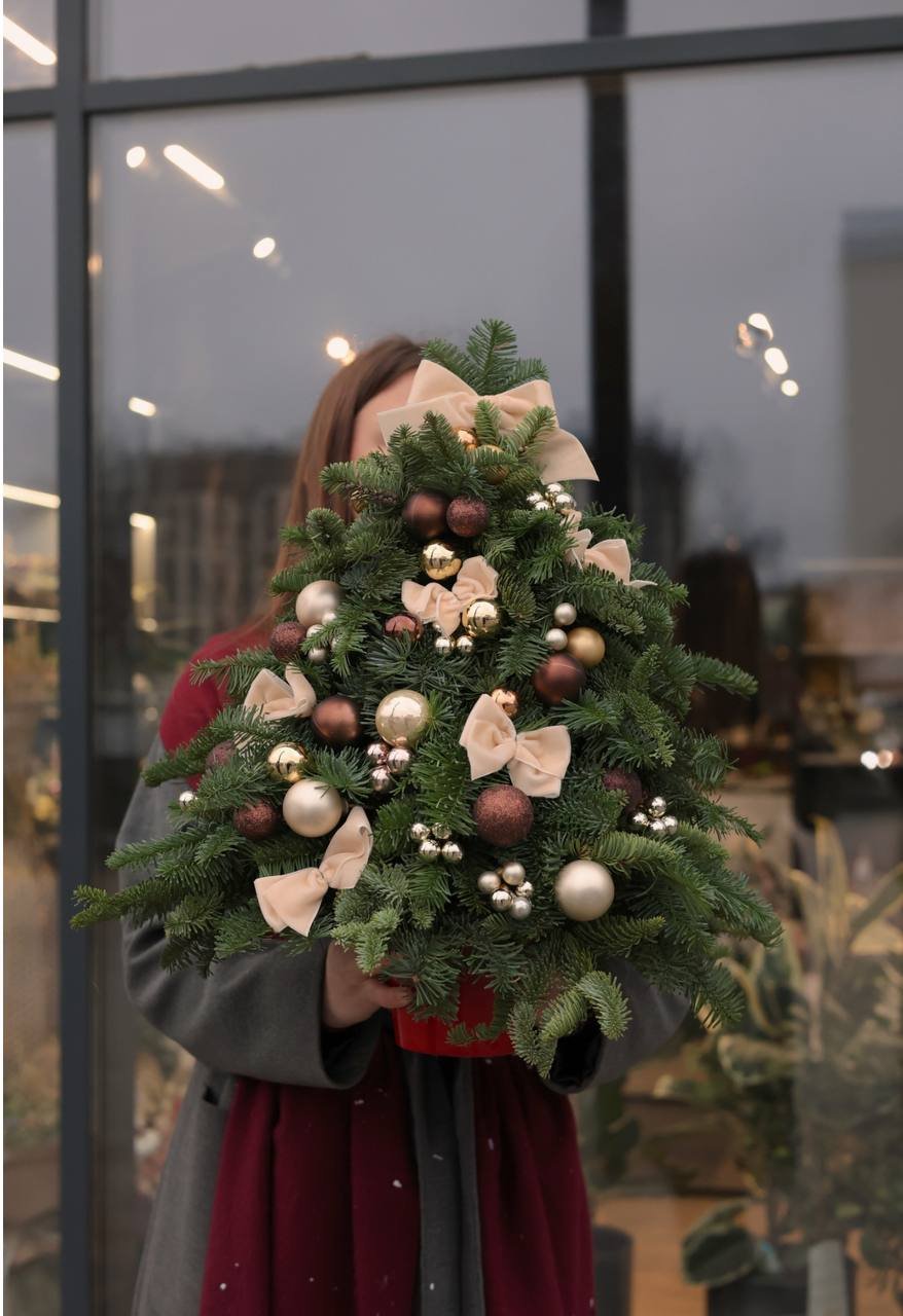 photo_2025-12-24_16-15-29 Ялинка з нобілісу - Зображення 1