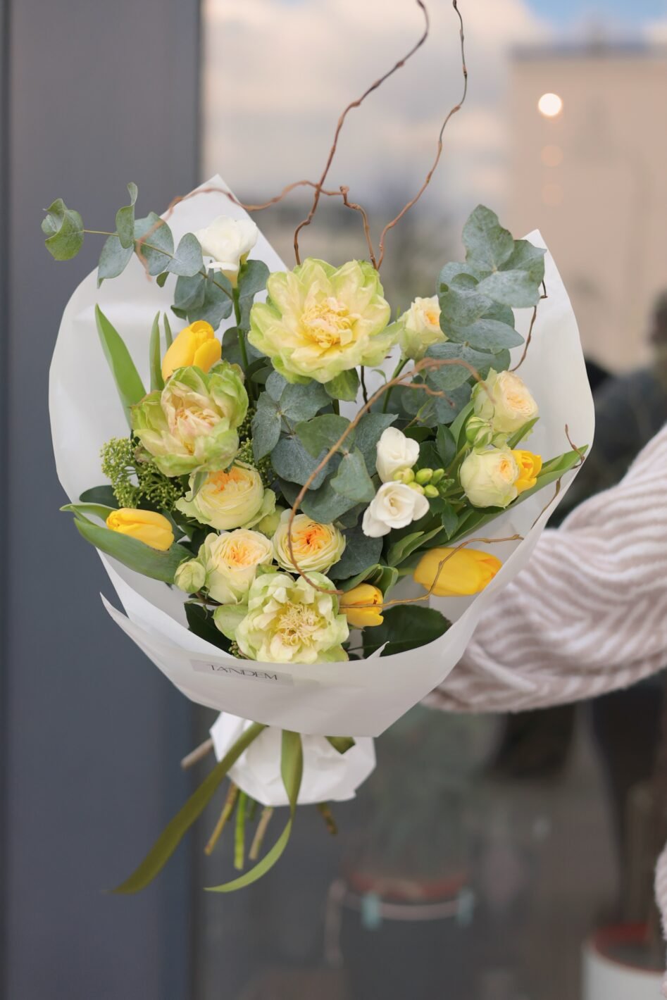 Головна 17 Tandem GREEN SHOP