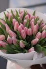 51 світло-рожевий тюльпан - Image 2